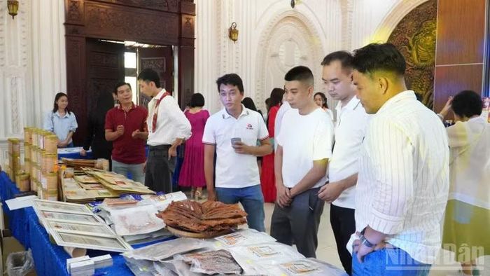 Nguồn sản phẩm của Cần Thơ khá phong phú, từ gạo, trái cây, thủy sản đến các sản phẩm OCOP và thực phẩm chế biến có giá trị gia tăng. (Ảnh: VĂN ÚT)