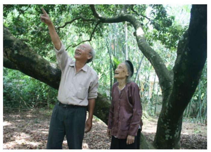 Mẹ Lê Thị Oanh cùng con trai Hoàng Quốc Vinh (em trai liệt sĩ Hoàng Minh Chính) bên gốc vải mà nhà thơ trồng trước lúc lên đường nhập ngũ (ảnh chụp năm 2011). Ảnh: qdnd.vn 