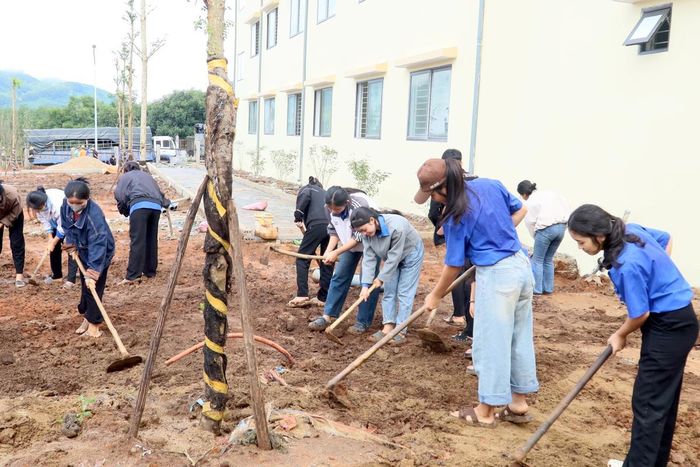 Các lực lượng quân đội, đoàn thanh niên cũng được huy động