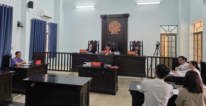 Phiên xét xử vụ kiện dân sự công ích đầu tiên tại TPHCM. Ảnh: SONG MAI