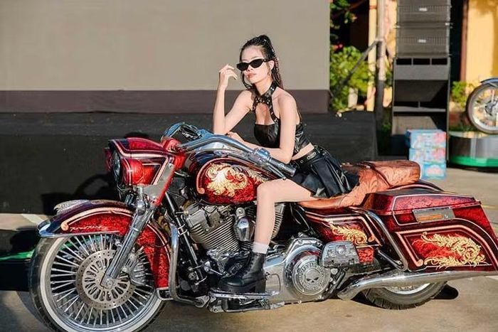 Đồng hành cùng Dyna là Harley-Davidson Road King 2016 gắn sidecar, mẫu xe mang đậm dấu ấn cổ điển của thương hiệu môtô Mỹ. Xe thuộc dòng Road King Classic và nằm trong dự án nâng cấp Rushmore nổi tiếng của Harley-Davidson.