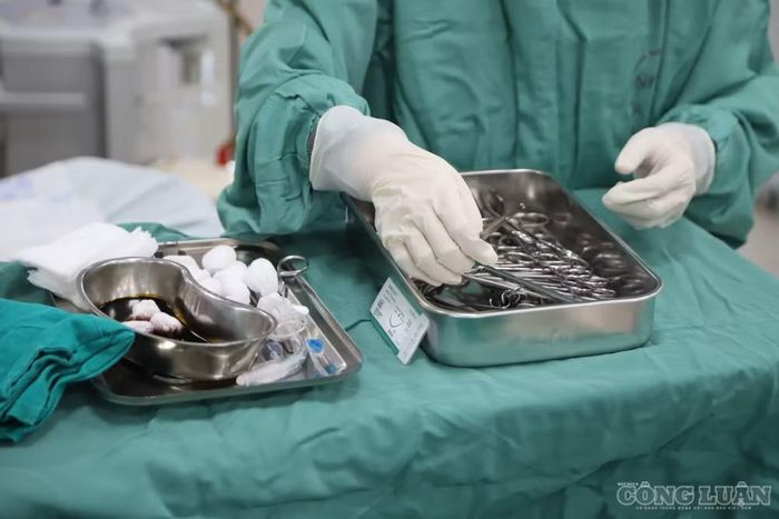 Tổ chức nghiệm thu, đưa thiết bị vào sử dụng và chịu trách nhiệm quản lý, sử dụng theo đúng quy định.