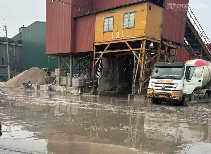 Bên trong Công ty HT 86 Việt Nam. Ảnh: Thanh Nguyên