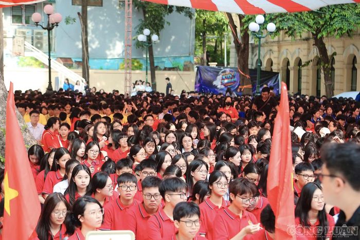 Việt Đức hiện giảng dạy các ngoại ngữ gồm tiếng Anh, Đức, Pháp, Nhật, Hàn và Trung Quốc. Trường cũng có phòng Mỹ thuật, Âm nhạc và các phòng thí nghiệm phục vụ môn Hóa học, Sinh học, Công nghệ.