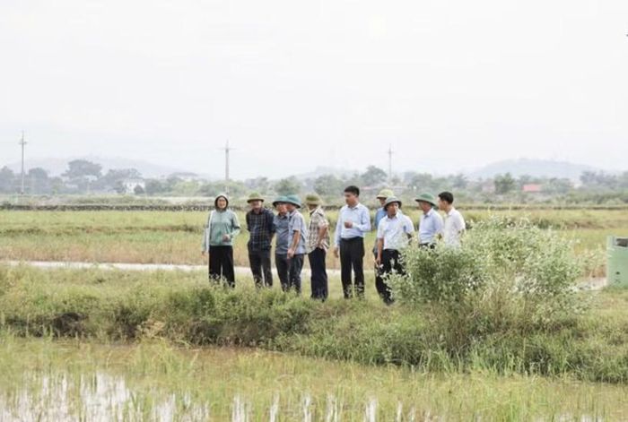 Các đại biểu tổ chức thăm quan, kiểm tra thực địa triển khai mô hình nuôi trồng thủy sản tận dụng nguồn thức ăn tự nhiên từ lúa chét - Ảnh: Truyền hình Kiều Phú