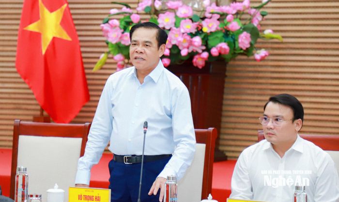 Chủ tịch UBND tỉnh Võ Trọng Hải phát biểu kết luận cuộc họp. Ảnh: Thành Duy