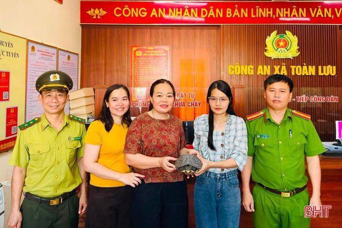 Chị Đặng Thị Hải (ở giữa) bàn giao cá thể rùa cổ sọc cho cơ quan chức năng.