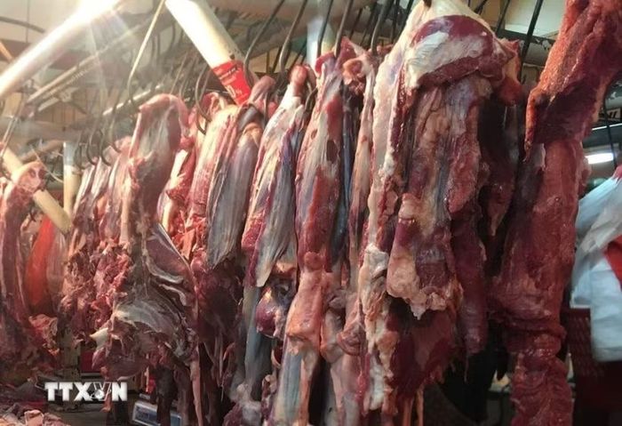 (Ảnh minh họa: Đỗ Quyên/TTXVN)