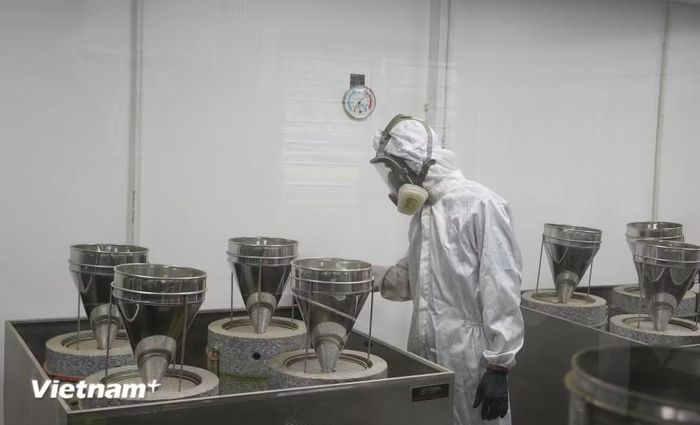 Chế biến Matcha từ nguyên liệu chè địa phương tại HTX Lạc Yên Trà, xã La Bằng. (Nguồn: Vietnam+)