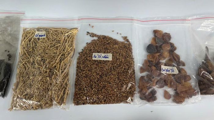 Cần đẩy mạnh ứng dụng khoa học công nghệ, chuyển đổi số và công nghệ sinh học trong nuôi trồng, chế biến và truy xuất nguồn gốc dược liệu. (Ảnh: PV/Vietnam+)