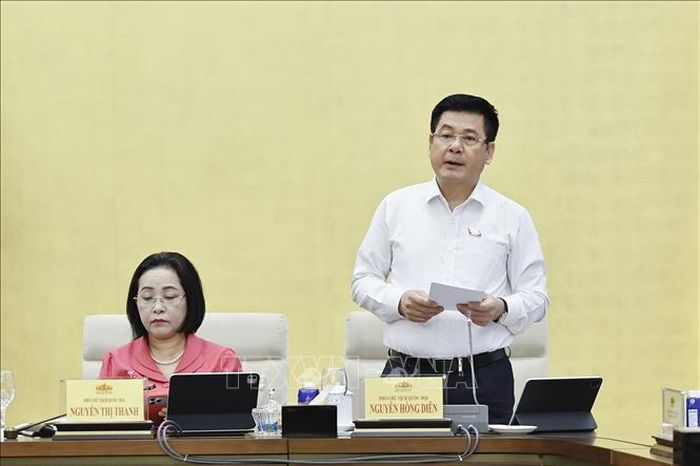 Phó Chủ tịch Quốc hội Nguyễn Hồng Diên phát biểu. Ảnh: Doãn Tấn/TTXVN.