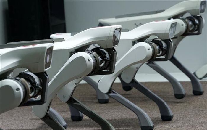 Chó robot được giới thiệu tại Hội nghị Robot Thế giới 2026 ở Bắc Kinh, Trung Quốc, ngày 19/8/2026. Ảnh: THX/TTXVN phát