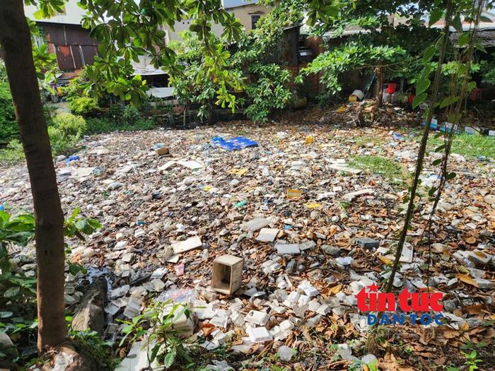 Rác thải phủ kín nhiều đoạn trên một con rạch ở phường An Nhơn.