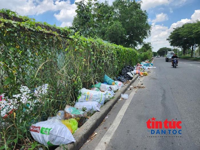 Dọc tuyến đường Nguyễn Văn Linh qua khu vực xã Bình Hưng, Bình Đông xuất hiện nhiều bãi rác tự phát.
