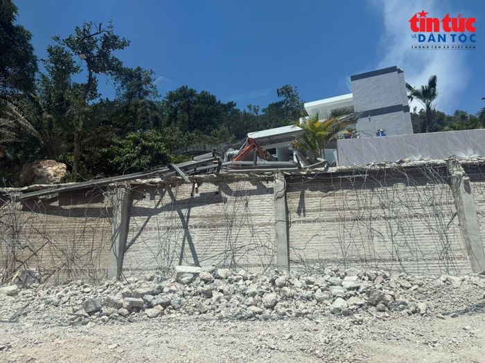 Cả 4 trường hợp vi phạm đều nằm gần khu vực hồ Đồng Đò, nơi từng được kết luận có nhiều trường hợp vi phạm đất rừng.