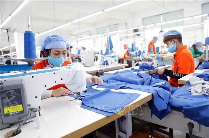 May hàng xuất khẩu sang thị trường Nhật Bản tại Công ty May Hưng Việt, Hưng Yên. Ảnh: Trần Việt/TTXVN