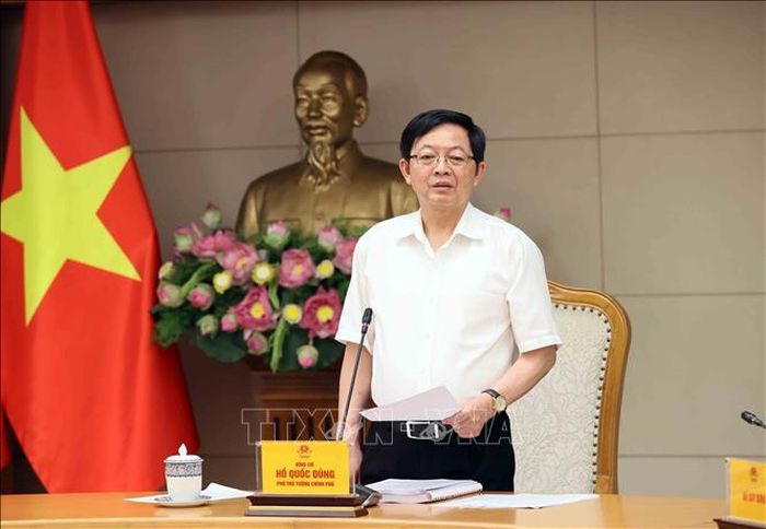 Phó Thủ tướng Hồ Quốc Dũng phát biểu tại cuộc họp. Ảnh: An Đăng/TTXVN