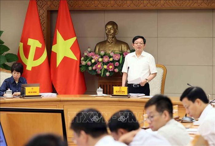 Phó Thủ tướng Hồ Quốc Dũng phát biểu tại cuộc họp. Ảnh: An Đăng/TTXVN