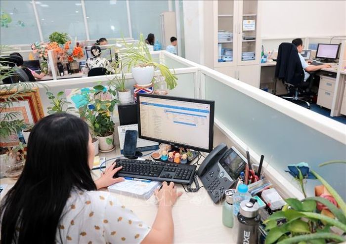 Hoạt động nghiệp vụ của công chức Ban Công nghệ, chuyển đổi số và tự động hóa (Cục Thuế) trong Chiến dịch Làm sạch mã số thuế - Tháo gỡ điểm nghẽn trong kinh doanh. Ảnh: Phạm Hậu/TTXVN