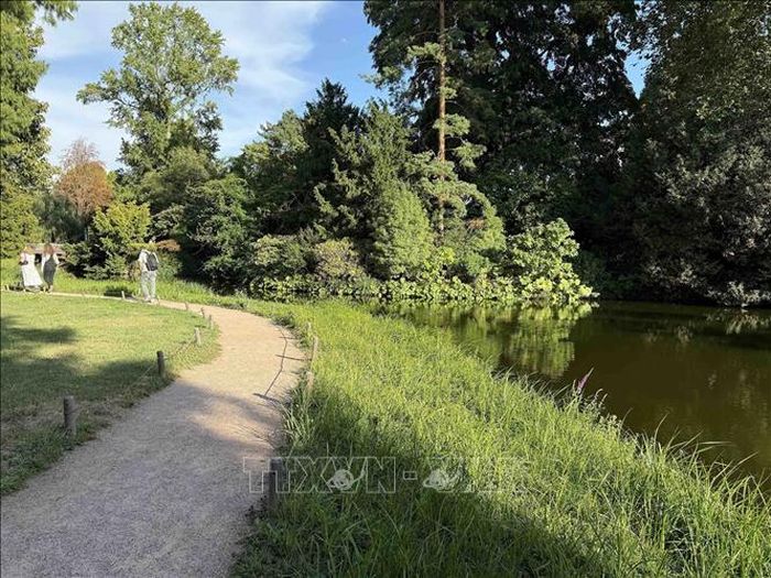 Quang cảnh vườn thực vật chuyên về các loài cây thân gỗ Arboretum de la Vallée-aux-Loups, tỉnh Hauts-de-Seine, sau một mùa Hè nắng nóng và thiếu mưa nghiêm trọng.