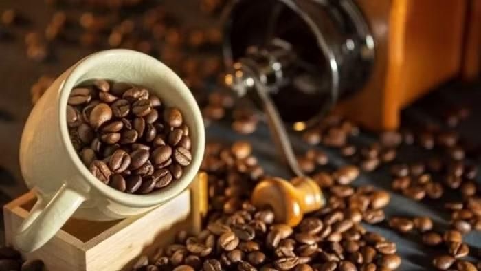 Giá cà phê hôm nay điều chỉnh giảm