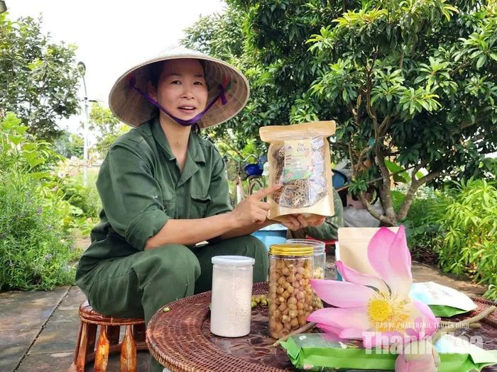 Chị Lê Thị Thu (tổ dân phố Tân Hồ, phường Đông Tiến) livestream giới thiệu các sản phẩm từ sen.