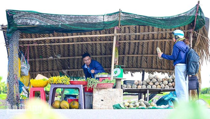 Đến mùa thu hoạch, bí Vàm Răng được bày bán ven lộ, phục vụ người dân và du khách.