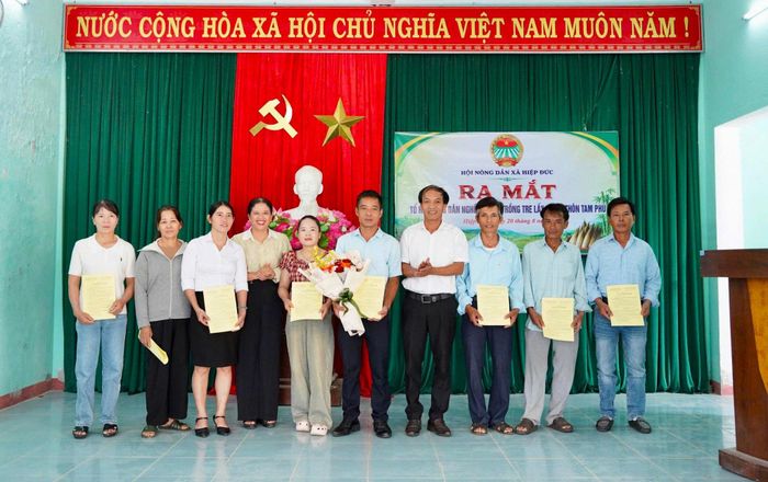 Hội Nông dân xã Hiệp Đức vận động thành lập Tổ hội nghề trồng tre lấy măng thôn Tam Phú. Ảnh: NGUYỄN BÌNH
