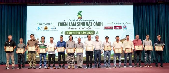  Tặng Giấy khen cho các cá nhân có nhiều đóng góp vào thành công của sự kiện. Ảnh: ĐVCC 