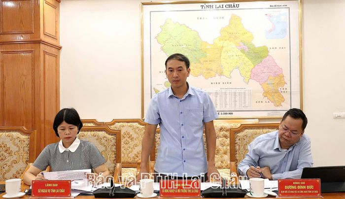 Lãnh đạo Sở Nông nghiệp và Môi trường phát biểu tại cuộc họp.