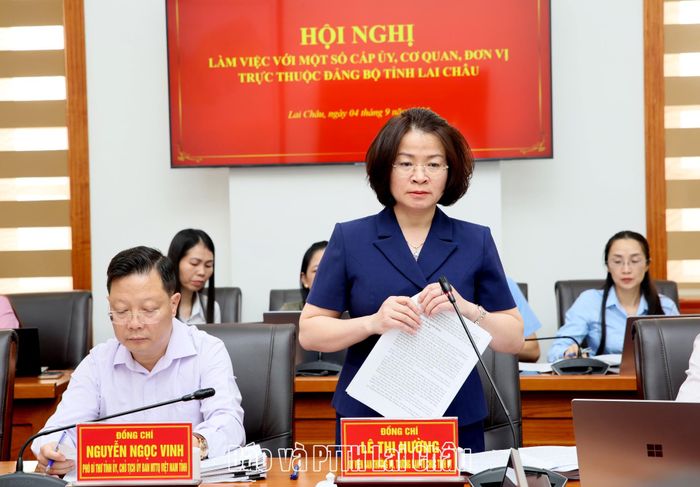 Đồng chí Lê Thị Hường - Ủy viên Ban Thường vụ, Trưởng Ban Tổ chức Tỉnh uỷ báo cáo các nội dung kiểm tra, giám sát đợt 3. 