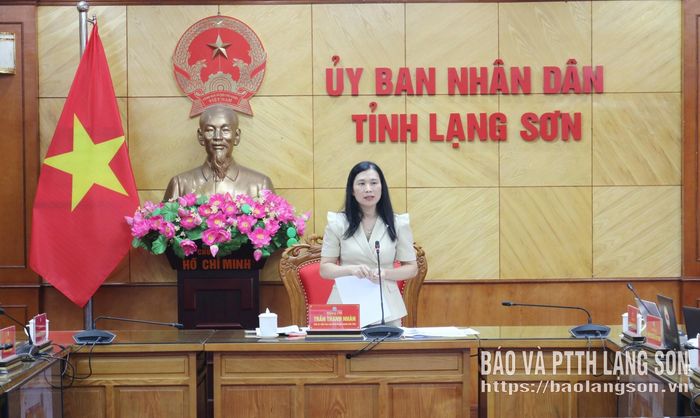 Đồng chí Trần Thanh Nhàn, Phó Chủ tịch UBND tỉnh phát biểu kết luận cuộc họp