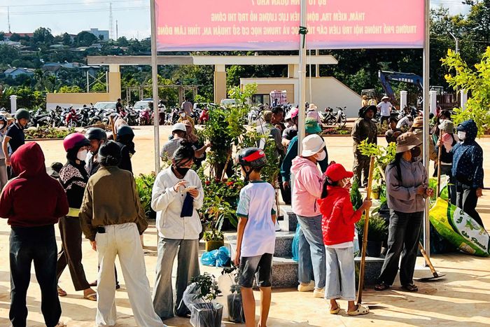 Phụ huynh xã Thuận An mang cây cảnh, hoa tới trang trí Trường phổ thông nội trú liên cấp Tiểu học - THCS Thuận An