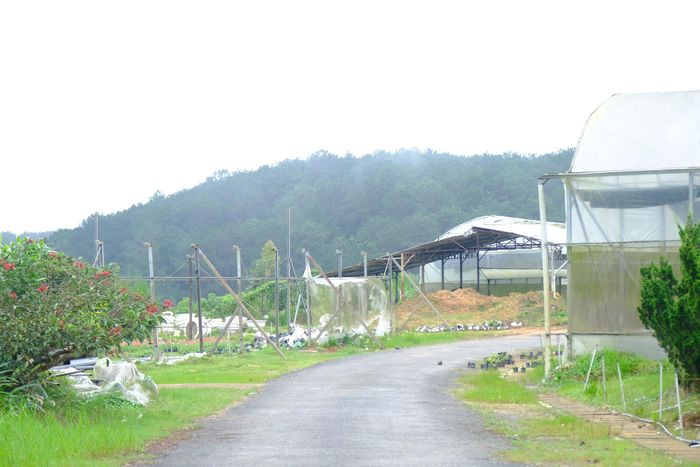 Tại khu vực Cam Ly mới, bãi rác cũ rộng khoảng 65 ha được địa phương đề xuất dự kiến phát triển khu dân cư mới