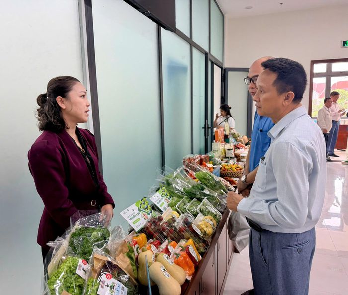 Các doanh nghiệp trưng bày và trao đổi về sản phẩm
