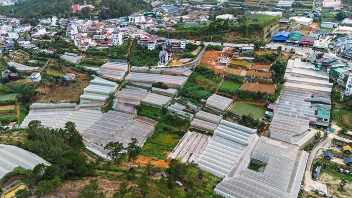 Khu vực phường Lang Biang - Đà Lạt quy hoạch thực hiện dự án nhà ở xã hội Phúc An