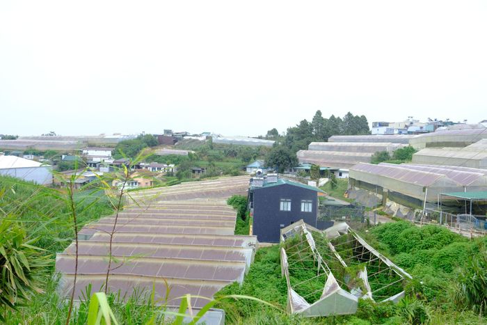 Khu dân cư Cao Bá Quát