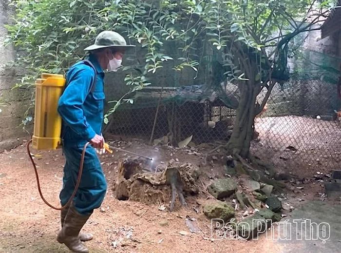 Người dân xã Đông Thành chủ động phun khử trùng tiêu độc khu vực xung quanh nhà để phòng bệnh.