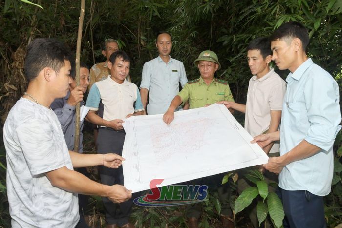 Cán bộ Hạt Kiểm lâm khu vực I và Chi nhánh khu vực VI, Quỹ Bảo vệ và Phát triển rừng tỉnh, kiểm tra công tác bảo vệ rừng tại xã Quỳnh Nhai.