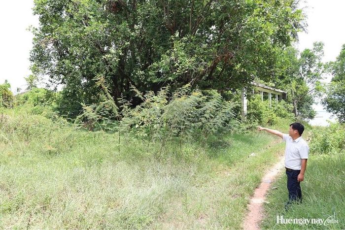 Khu vực triển khai dự án Khu du lịch sinh thái Đá Bạc (xã Lộc An) đầy cỏ dại. 