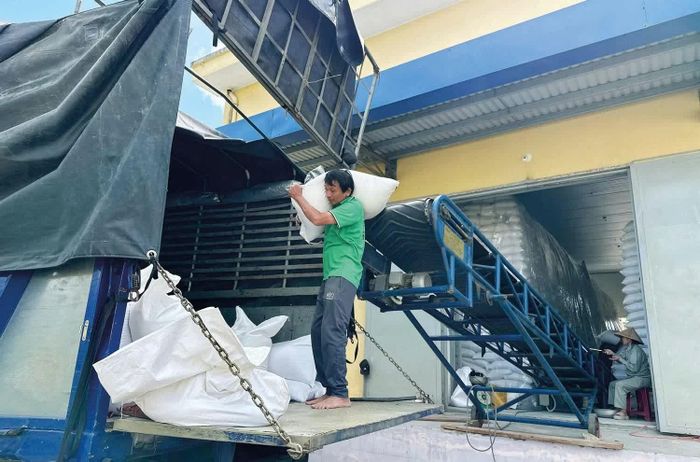 Chi cục Dự trữ Nhà nước khu vực X xuất cấp gạo dự trữ quốc gia hỗ trợ người dân dịp Tết Nguyên đán Bính Ngọ. Ảnh: Khánh Huyền
