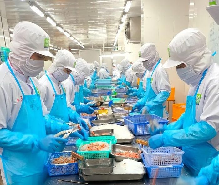 Nhà mua hàng rất quan tâm đến nguồn gốc nguyên liệu, quy trình sản xuất, mức phát thải carbon, khả năng truy xuất và trách nhiệm với người lao động.