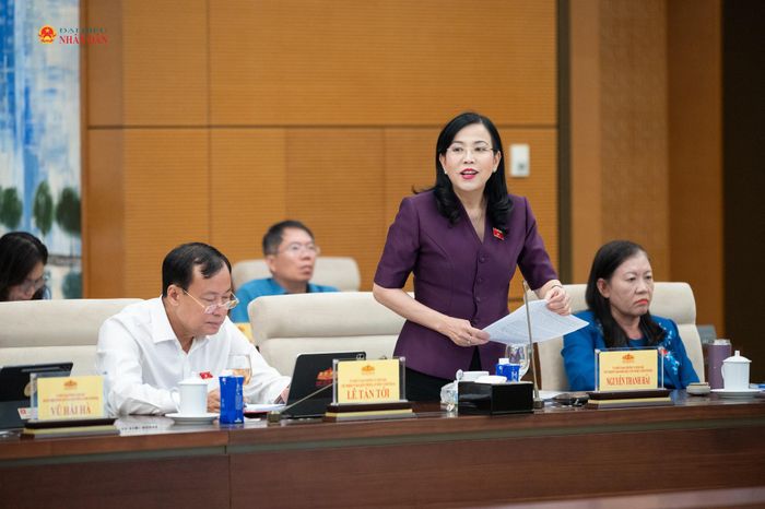 Chủ nhiệm Ủy ban Khoa học, Công nghệ và Môi trường Nguyễn Thanh Hải phát biểu tại phiên họp
