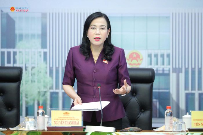 Chủ nhiệm Ủy ban Khoa học, Công nghệ và Môi trường Nguyễn Thanh Hải phát biểu