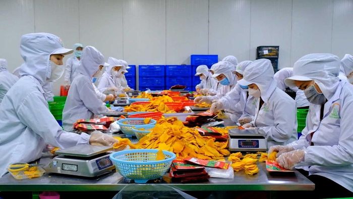 Nhiều doanh nghiệp xuất khẩu khẳng định, dư địa cho ngành hàng nông sản, thực phẩm Việt Nam còn rất lớn.