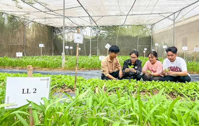 Giờ thực hành của sinh viên Trường Đại học Bạc Liêu. Ảnh: HỮU THỌ