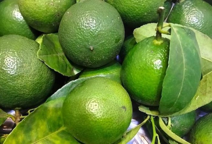 Chanh có nhiều lợi ích trong cuộc sống. Ảnh minh họa.