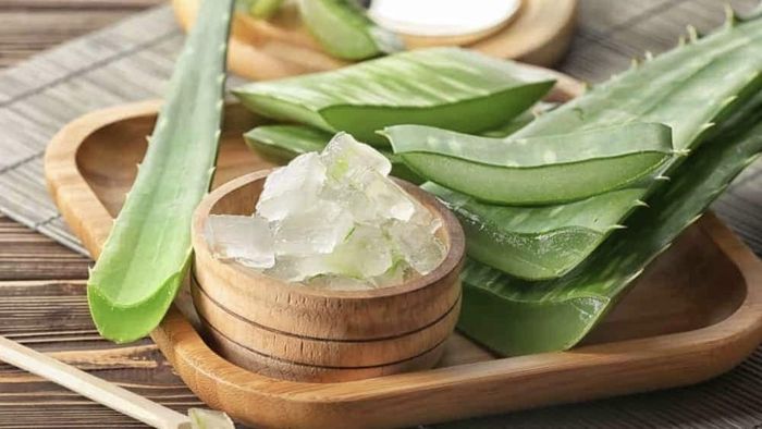 Có thể dùng muối để loại bỏ lớp nhớt của nha đam. Ảnh minh họa