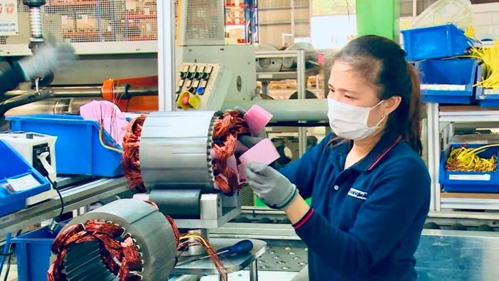 Lý do số doanh nghiệp giải thể cao bất thường được cho là quá trình xử lý, làm sạch dữ liệu lộ ra nhiều đơn vị dừng kinh doanh nhưng không hoàn tất thủ tục. (Ảnh minh họa)