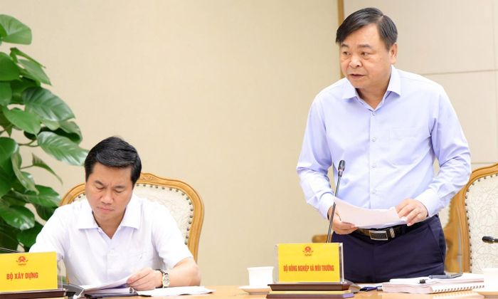 Thứ trưởng Bộ Nông nghiệp và Môi trường Nguyễn Hoàng Hiệp phát biểu tại cuộc họp. (Ảnh: chinhphu.vn)